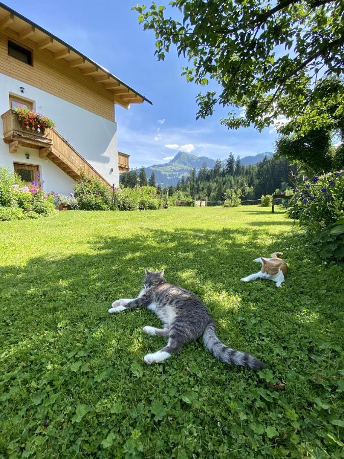 Landhaus Barbara Kitzbuhel Ngoại thất bức ảnh